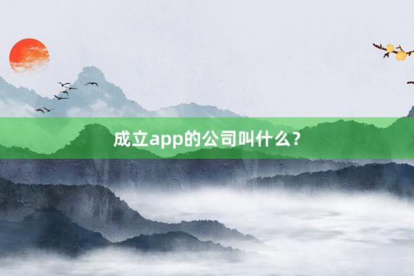 成立app的公司叫什么？